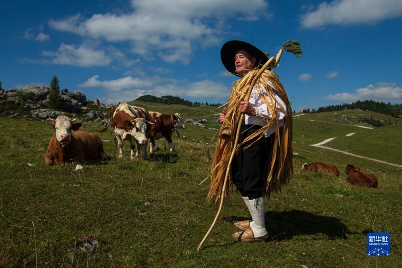 Malisho ya kale kwenye Uwanda wa Juu wa Slovenia