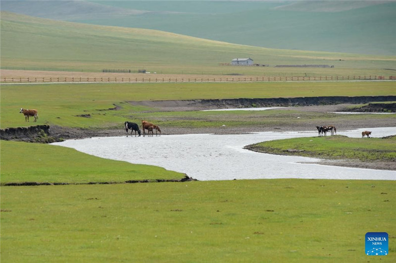 Mandhari kando ya Mto Mergel Gol huko Hulun Buir, Mongolia ya Ndani nchini China