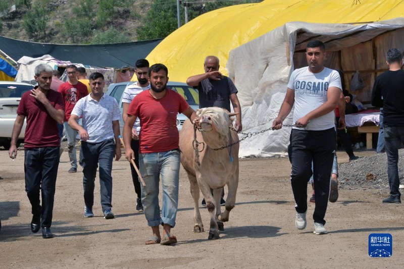 Tarehe 9, Julai, watu wakiongoza ng’ombe kupita soko la mifugo la Ankala, Turkey.