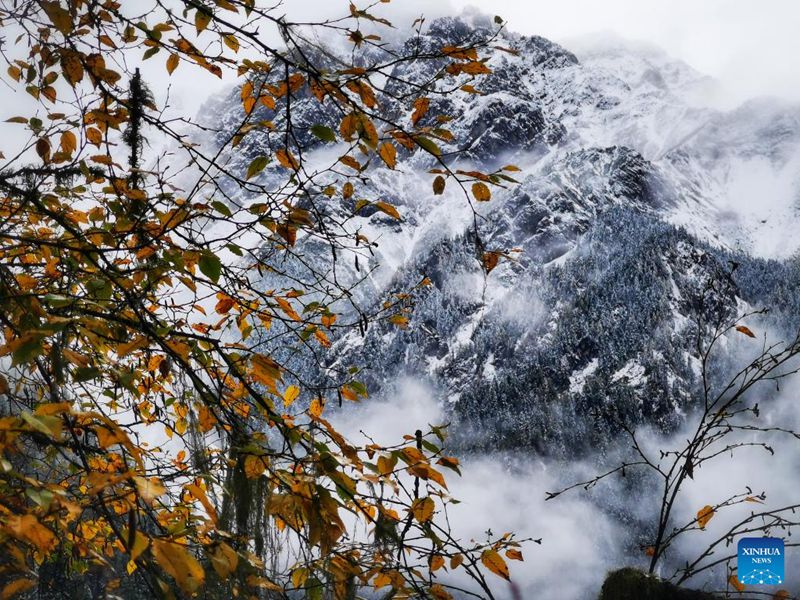 Mandhari ya theluji ya Jiuzhaigou, Sichuan