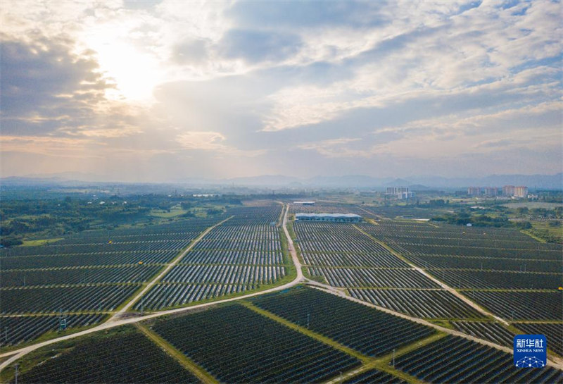 Matunda ya pitaya ya Mji wa Dongfang, Hainan yavunwa