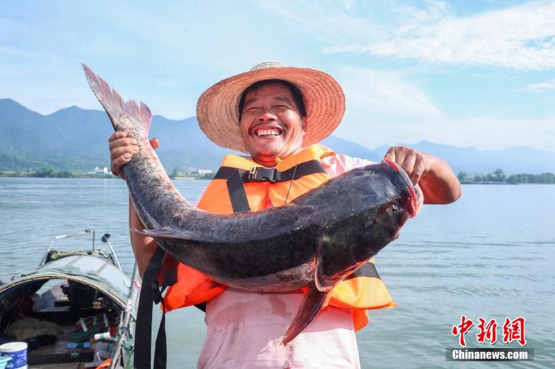 Tamasha la Uvuvi kwenye?Mto Fuchun la Hangzhou lafanyika huko Hangzhou, China na uvuzi wa samaki?waanza tena baada ya kupigwa marufuku kwa miezi minne