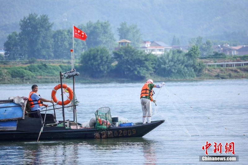 Tamasha la Uvuvi kwenye?Mto Fuchun la Hangzhou lafanyika huko Hangzhou, China na uvuzi wa samaki?waanza tena baada ya kupigwa marufuku kwa miezi minne