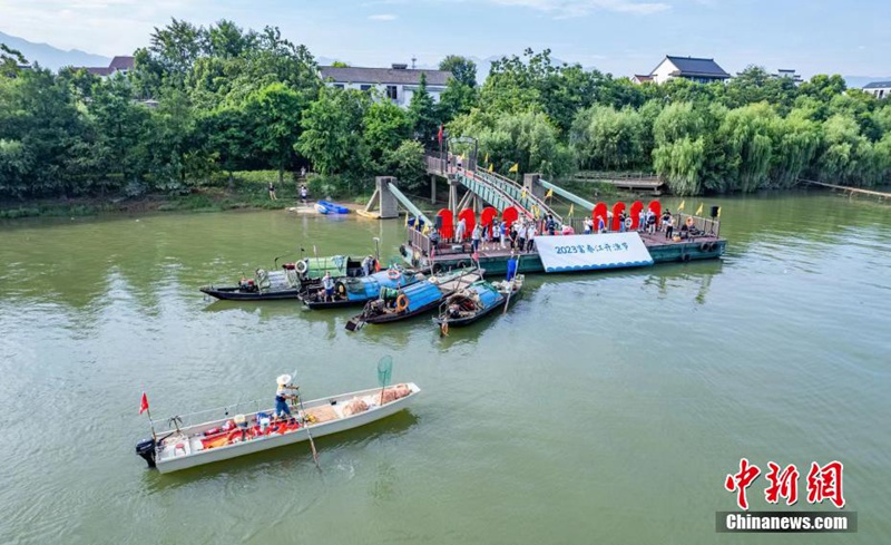 Tamasha la Uvuvi kwenye?Mto Fuchun la Hangzhou lafanyika huko Hangzhou, China na uvuzi wa samaki?waanza tena baada ya kupigwa marufuku kwa miezi minne