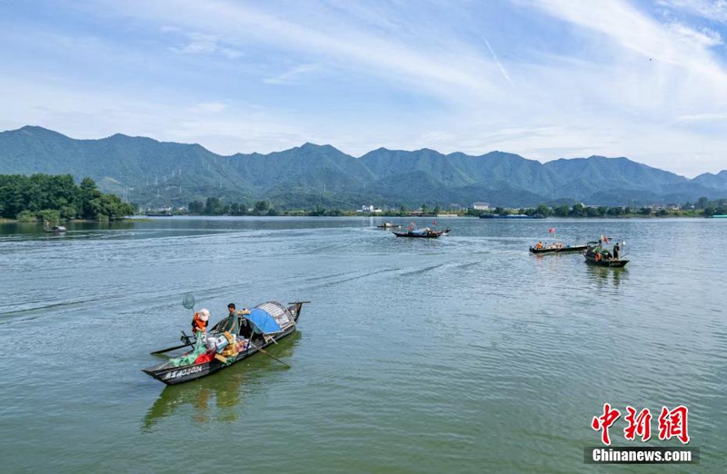 Tamasha la Uvuvi kwenye?Mto Fuchun la Hangzhou lafanyika huko Hangzhou, China na uvuzi wa samaki?waanza tena baada ya kupigwa marufuku kwa miezi minne