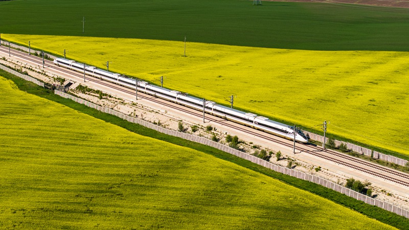 Picha: Treni inayopitia shamba zuri la Maua ya Rape