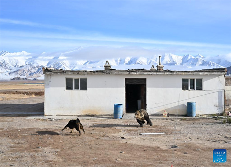 Mandhari ya Hifadhi ya Taifa ya Mazingira Asilia ya Milima ya Altun katika Mkoa wa Xinjiang, China