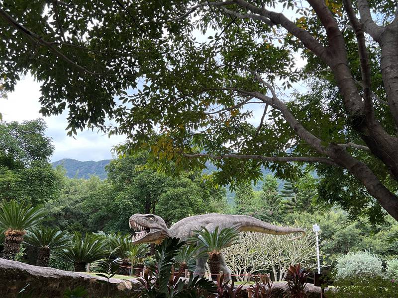 Habari Picha: Mazingira ya asili ya sehemu ya Jumba la Makumbusho la Bustani ya Kitaifa ya Jiolojia ya Peninsula ya Dapeng ya Shenzhen, China