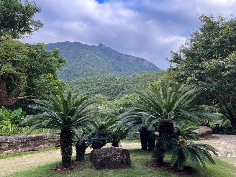 Habari Picha: Mazingira ya asili ya sehemu ya Jumba la Makumbusho la Bustani ya Kitaifa ya Jiolojia ya Peninsula ya Dapeng ya Shenzhen, China