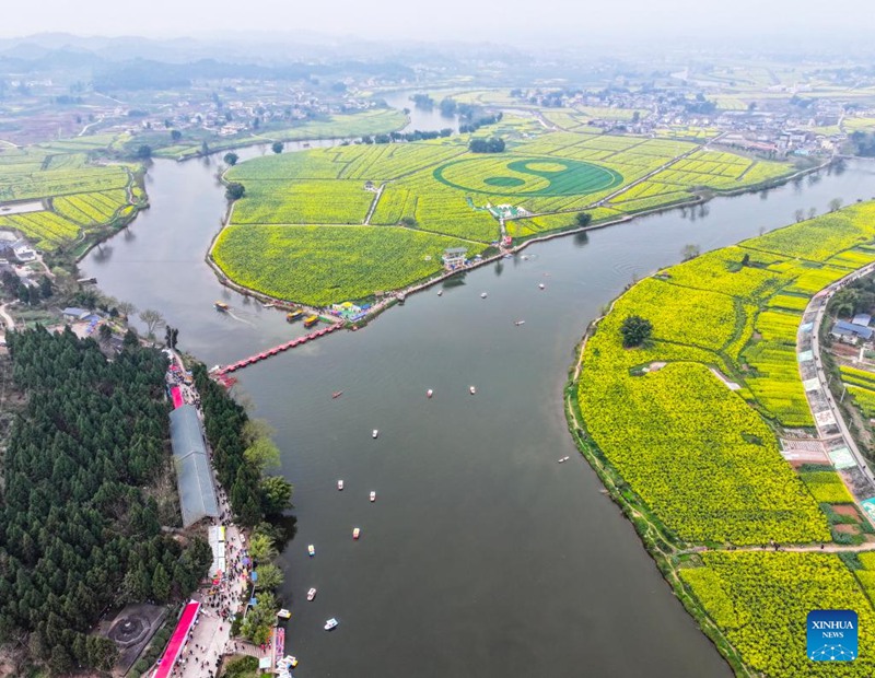 Mandhari ya mashamba ya mimea ya rapa huko Chongqing, Kusini Magharibi mwa China