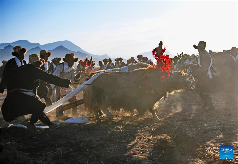 Sherehe za kuashiria kuanza kwa kilimo cha majira ya mchipuko zafanyika Mkoa wa Xizang, China