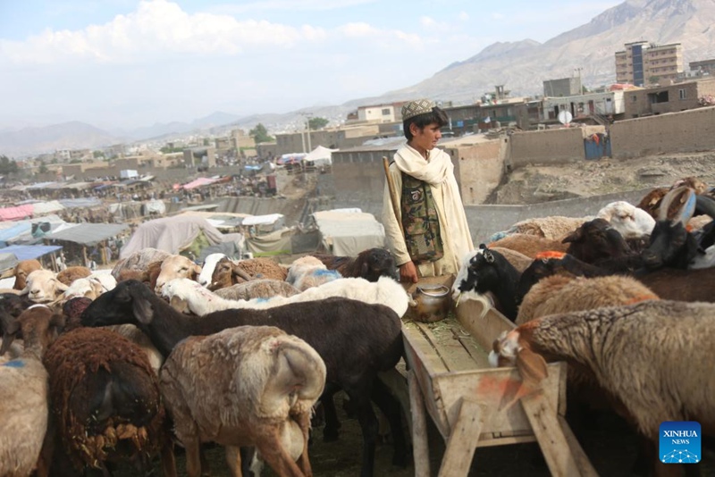 Timu ya China yaandaa darasa la ulinzi wa mabaki ya kale ya kitamaduni kwa wanafunzi wa Afghanistan