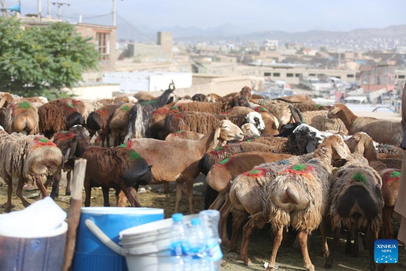 Timu ya China yaandaa darasa la ulinzi wa mabaki ya kale ya kitamaduni kwa wanafunzi wa Afghanistan