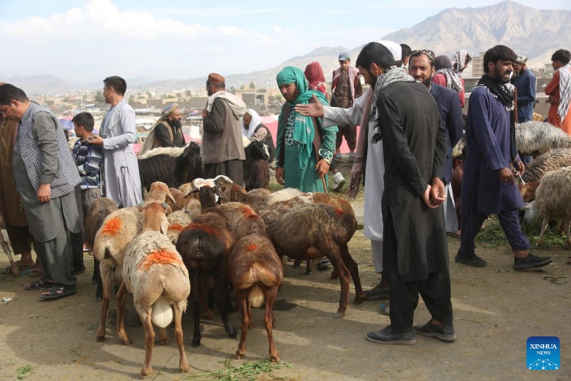 Timu ya China yaandaa darasa la ulinzi wa mabaki ya kale ya kitamaduni kwa wanafunzi wa Afghanistan