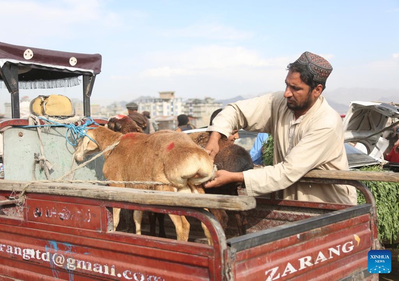 Timu ya China yaandaa darasa la ulinzi wa mabaki ya kale ya kitamaduni kwa wanafunzi wa Afghanistan