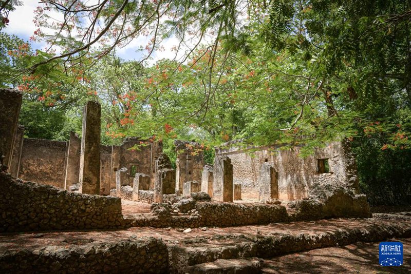 Magofu ya Mji wa Kale wa Gedi nchini Kenya Yaorodheshwa kwenye Orodha ya Mali ya Urithi wa Dunia ya UNESCO