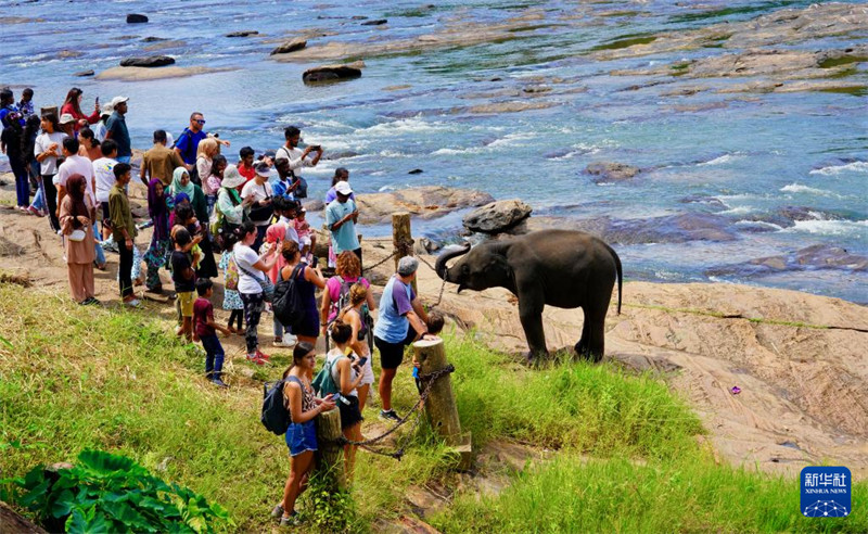 Watu Watembelea Kituo?cha Tembo?Yatima?cha Sri Lanka