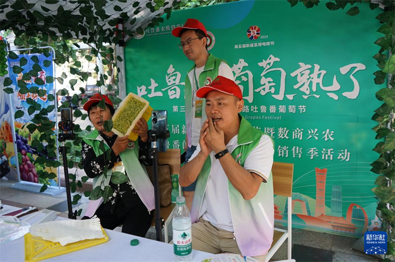 Zabibu Zavutia Wageni huko Turpan, Mkoa Unaojiendesha wa Xinjiang, China