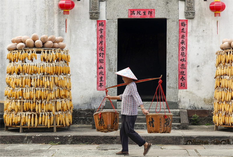 Wanakijiji wa Kijiji cha Kale Waanika?Mazao?ya Kilimo?Juani?huko Huangshan, Mkoa wa Anhui, China