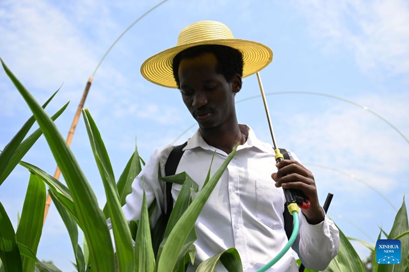 Simulizi ya Picha: Mwanafunzi wa Rwanda Ajikita Kwenye Utafiti wa Mahindi Nchini China