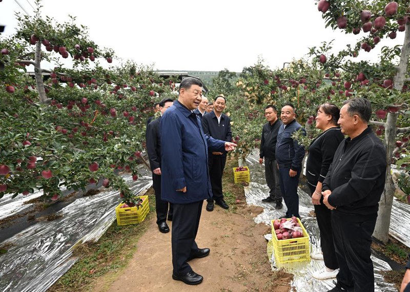 Xi Jinping akagua Mji Baoji wa Mkoa wa Shaanxi na Mji Tianshui wa Mkoa wa Gansu, China