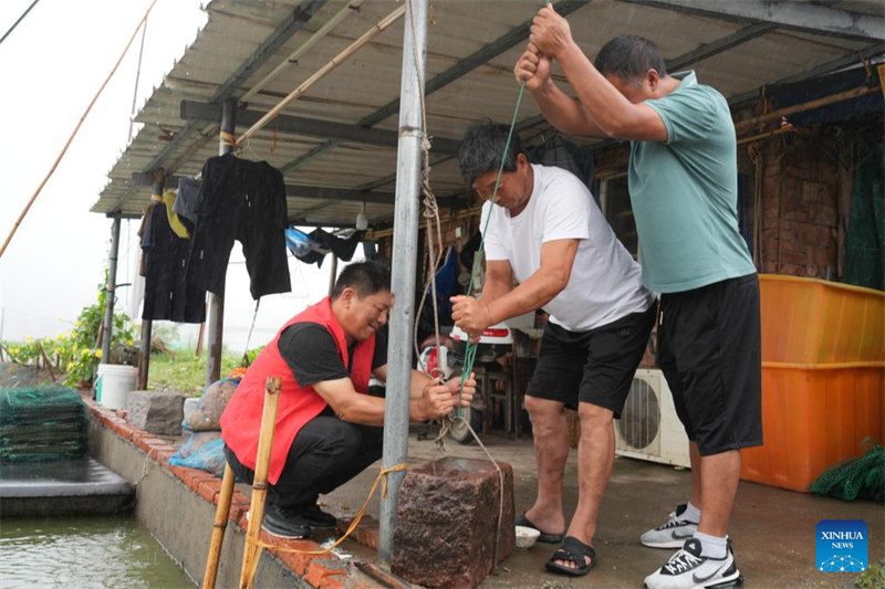 Afisa wa serikali akisaidia wakulima kuimarisha vifaa kwenye bwawa katika Kijiji cha Nantang, Kitongoji cha Jiantiao cha Wilaya ya Sanmen katika Mji wa Taizhou, Mkoa wa Zhejiang, mashariki mwa China, Septemba 19, 2024. (Xinhua/Weng Xinyang)