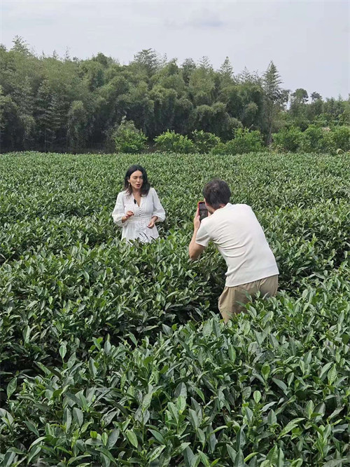 Ujumbe wa Waandishi wa Habari wa nchi za Latin Amerika wafurahia kuchuma na kuonja chai huko Chengdu, China