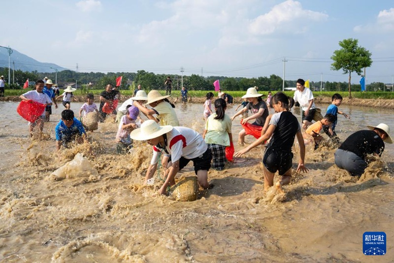 Michezo ya Kujifurahisha ya Wakulima Yachochea Uhai wa Kijiji Huko Taojiang, Mkoa wa Hunan, China