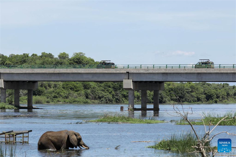 Makamu Rais wa Uganda apongeza mpango wa China wa maendeleo ya kijani